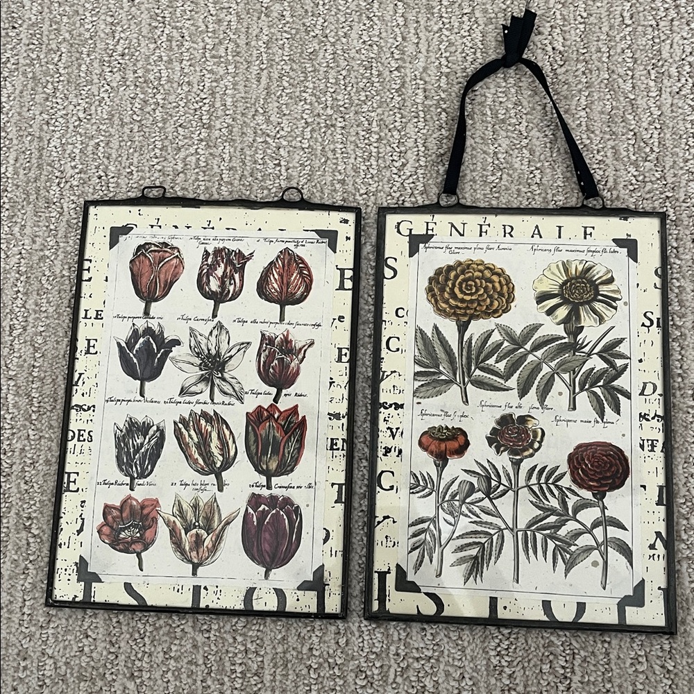 Floral Botanical Wall Art Set - Double-Sided